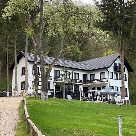 Starite Borove Villa Sinagovtsi Dış mekan fotoğraf