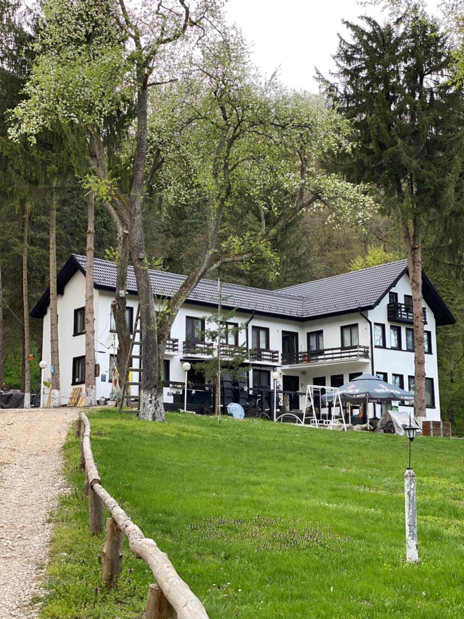 Starite Borove Villa Sinagovtsi Dış mekan fotoğraf
